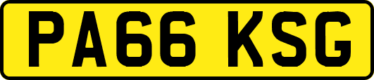 PA66KSG