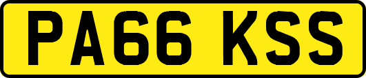 PA66KSS