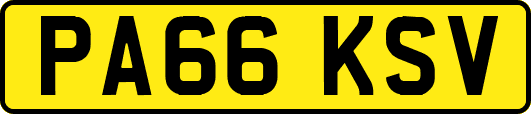 PA66KSV