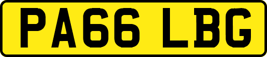 PA66LBG