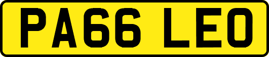 PA66LEO