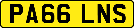 PA66LNS