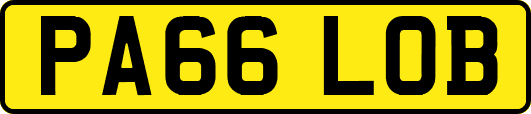 PA66LOB