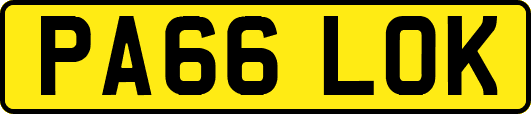 PA66LOK