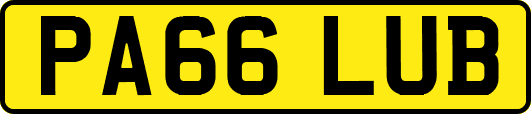 PA66LUB