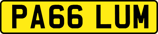 PA66LUM