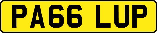 PA66LUP
