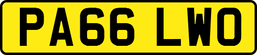 PA66LWO