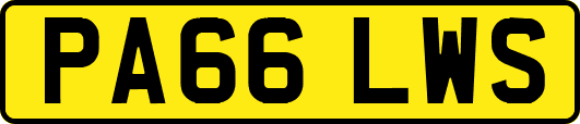 PA66LWS