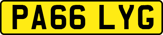 PA66LYG