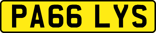 PA66LYS