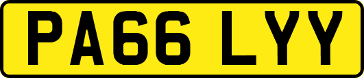PA66LYY