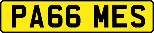 PA66MES