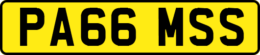 PA66MSS