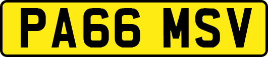PA66MSV