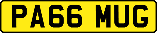 PA66MUG