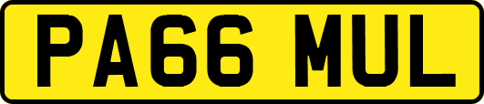 PA66MUL