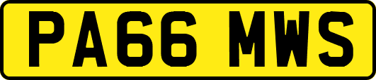 PA66MWS