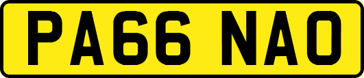 PA66NAO
