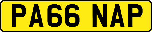 PA66NAP