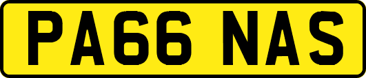 PA66NAS