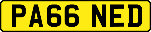PA66NED