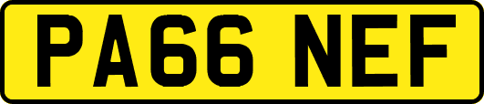 PA66NEF