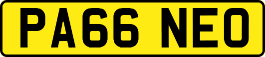 PA66NEO