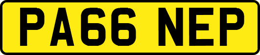 PA66NEP