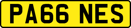 PA66NES