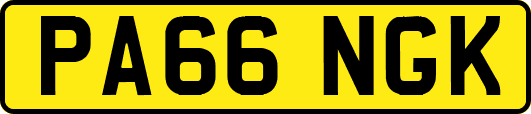 PA66NGK
