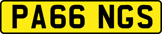 PA66NGS