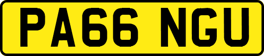 PA66NGU