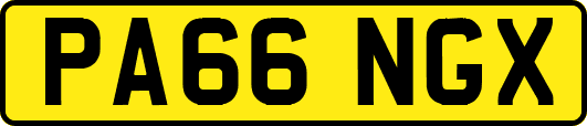 PA66NGX