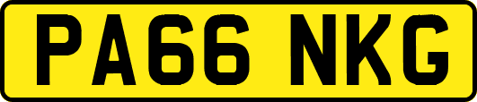 PA66NKG