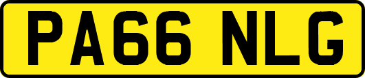 PA66NLG