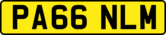 PA66NLM