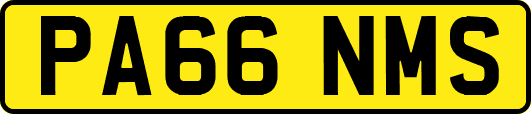 PA66NMS