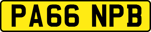 PA66NPB
