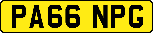 PA66NPG