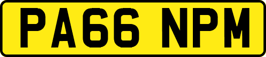 PA66NPM