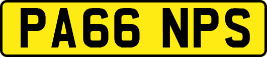 PA66NPS