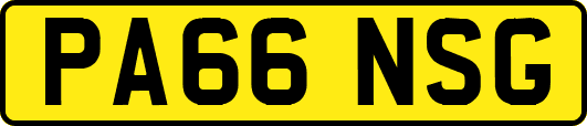 PA66NSG