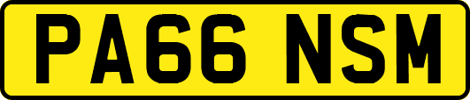 PA66NSM