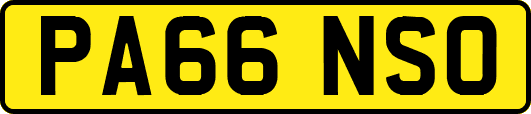 PA66NSO