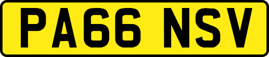 PA66NSV