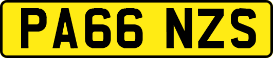 PA66NZS