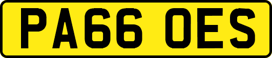PA66OES