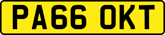 PA66OKT