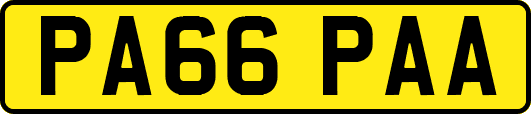PA66PAA